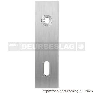 GPF Bouwbeslag RVS GPF1100.15R BB72 kortschild gatdeel rechthoekig 169x46x8,5 mm BB72 rechtsdraaiend RVS geborsteld - R21003989 - afbeelding 1