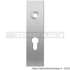 GPF Bouwbeslag RVS GPF1100.15R PC55 kortschild gatdeel rechthoekig 169x46x8,5 mm PC55 rechtsdraaiend RVS geborsteld - R21003990 - afbeelding 1
