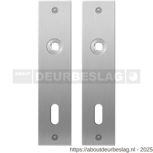 GPF Bouwbeslag RVS GPF1100.16 BB72 plaatschild rechthoekig zonder veer 181x41x2 mm BB72 RVS geborsteld - R21004133 - afbeelding 1