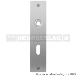 GPF Bouwbeslag RVS GPF1100.16L/R BB56 plaatschild rechthoekig zonder veer 181x41x2 mm BB56 links-rechtswijzend RVS geborsteld - R21003993 - afbeelding 1