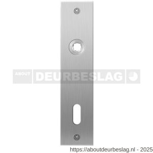 GPF Bouwbeslag RVS GPF1100.16L/R BB72 plaatschild rechthoekig zonder veer 181x41x2 mm BB72 links-rechtswijzend RVS geborsteld - R21003994 - afbeelding 1