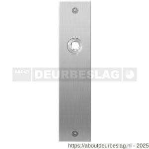 GPF Bouwbeslag RVS GPF1100.16L/R blind plaatschild rechthoekig zonder veer 181x41x2 mm blind links-rechtswijzend RVS geborsteld - R21003992 - afbeelding 1