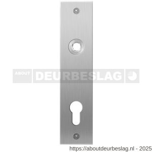 GPF Bouwbeslag RVS GPF1100.16L/R PC72 plaatschild rechthoekig zonder veer 181x41x2 mm PC72 links-rechtswijzend RVS geborsteld - R21003996 - afbeelding 1