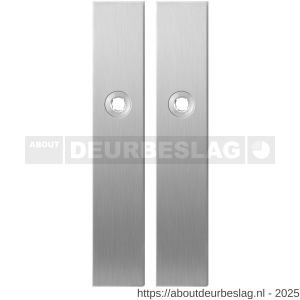 GPF Bouwbeslag RVS GPF1100.25 blind langschild rechthoekig enkelverend 218x40x8,5 mm blind RVS geborsteld - R21004258 - afbeelding 1
