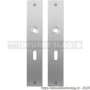 GPF Bouwbeslag RVS GPF1100.26 BB56 plaatschild rechthoekig zonder veer 220x40x2 mm BB56 RVS geborsteld - R21004350 - afbeelding 1