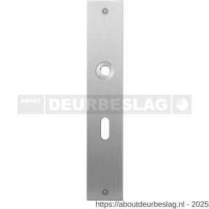 GPF Bouwbeslag RVS GPF1100.26L/R BB56 plaatschild rechthoekig zonder veer 220x40x2 mm BB56 links-rechtswijzend RVS geborsteld - R21004019 - afbeelding 1