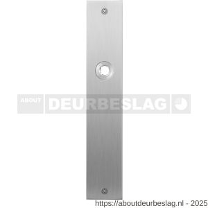 GPF Bouwbeslag RVS GPF1100.26L/R blind plaatschild rechthoekig zonder veer 220x40x2 mm blind links-rechtswijzend RVS geborsteld - R21004018 - afbeelding 1