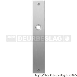 GPF Bouwbeslag RVS GPF1100.27L/R blind plaatschild rechthoekig zonder veer 240x40x2 mm blind links-rechtswijzend RVS geborsteld - R21004025 - afbeelding 1
