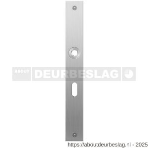 GPF Bouwbeslag RVS GPF1100.28L/R BB56 plaatschild rechthoekig zonder veer 240x30x2 mm BB56 links-rechtswijzend RVS geborsteld - R21004033 - afbeelding 1