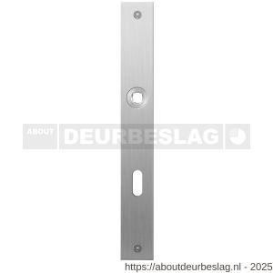 GPF Bouwbeslag RVS GPF1100.28L/R BB72 plaatschild rechthoekig zonder veer 240x30x2 mm BB72 links-rechtswijzend RVS geborsteld - R21004034 - afbeelding 1