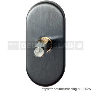 GPF Bouwbeslag PVD GPF1100.30P1 draaikiepmechanisme ovaal 65x30x12 mm met stift binnenzijde 32 mm PVD antraciet - R21007649 - afbeelding 1
