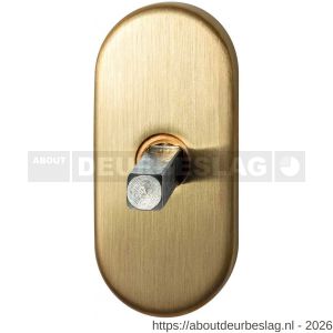 GPF Bouwbeslag PVD GPF1100.30P4 draaikiepmechanisme ovaal 65x30x12 mm met stift binnenzijde 32 mm PVD mat messing - R21011423 - afbeelding 1
