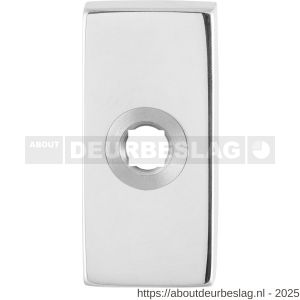 GPF Bouwbeslag RVS GPF1100.41R rechthoekig click rozet 70x32x10 mm rechtsdraaiend RVS gepolijst - R21008295 - afbeelding 1