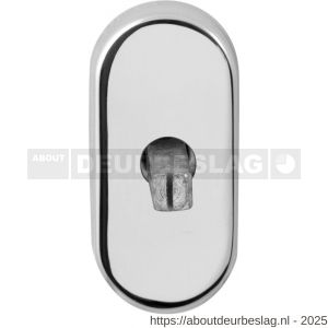 GPF Bouwbeslag RVS GPF1100.53EL draaikiepmechanisme ovaal 65x30x12 mm met stift binnenzijde 40 mm RVS gepolijst - R21008119 - afbeelding 1