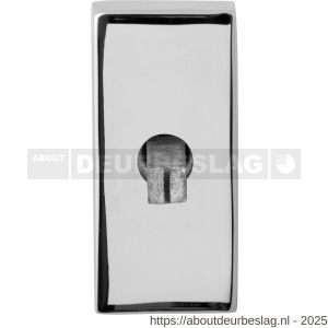GPF Bouwbeslag RVS GPF1100.54EL draaikiepmechanisme rechthoekig 65x30x12 mm met stift binnenzijde 40 mm RVS gepolijst - R21008120 - afbeelding 1