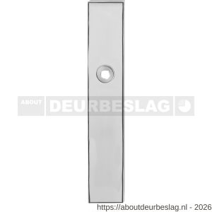 GPF Bouwbeslag RVS GPF1100.65R BB72 langschild gatdeel rechthoekig 218x40x8,5 mm BB72 rechtsdraaiend RVS gepolijst - R21004216 - afbeelding 1