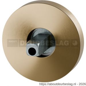 GPF Bouwbeslag PVD GPF1100.P4.0400 rozet rond 50x8 mm met vastgelaste knopvastzetter PVD mat messing - R21019985 - afbeelding 1