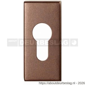 GPF Bouwbeslag Anastasius GPF1101.A2 cilinderrozet rechthoekig 70x32x10 mm Bronze blend - R21019987 - afbeelding 1