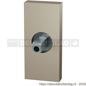 GPF Bouwbeslag Anastasius GPF1101.A4.0400 rechthoekig Click rozet 70x32x10 mm met vastgelaste knopvastzetter Champagne blend - R21016821 - afbeelding 1
