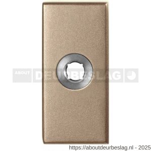 GPF Bouwbeslag Anastasius GPF1101.A4 L rechthoekig click rozet 70x32x10 mm linksdraaiend Champagne blend - R21016703 - afbeelding 1