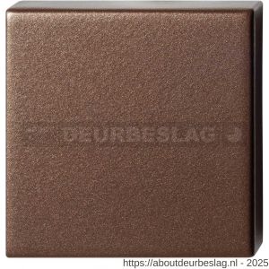 GPF Bouwbeslag Anastasius GPF1102.A2.0900 blind vierkant rozet 50x50x8 mm Bronze blend - R21011257 - afbeelding 1