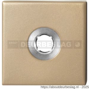 GPF Bouwbeslag Anastasius GPF1102.A4 R vierkant click rozet 50x50x8 mm rechtsdraaiend Champagne blend - R21011365 - afbeelding 1