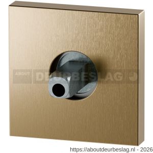 GPF Bouwbeslag PVD GPF1102.P4.0400 rozet vierkant 50x8 mm met vastgelaste knopvastzetter PVD mat messing - R21019991 - afbeelding 1
