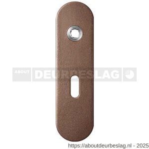 GPF Bouwbeslag Anastasius GPF1110.A2R BB56 kortschild gatdeel afgerond 169x46x8,5 mm BB56 rechtsdraaiend Bronze blend - R21012453 - afbeelding 1