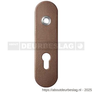 GPF Bouwbeslag Anastasius GPF1110.A2R PC72 kortschild gatdeel afgerond 169x46x8,5 mm PC72 rechtsdraaiend Bronze blend - R21012455 - afbeelding 1