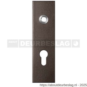 GPF Bouwbeslag Anastasius GPF1115.A1R PC72 kortschild gatdeel rechthoekig 169x46x8,5 mm PC72 rechtsdraaiend Dark blend - R21012503 - afbeelding 1