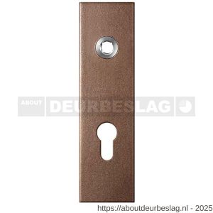 GPF Bouwbeslag Anastasius GPF1115.A2L PC72 kortschild gatdeel rechthoekig 169x46x8,5 mm PC72 linkswijzend Bronze blend - R21012515 - afbeelding 1
