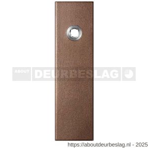 GPF Bouwbeslag Anastasius GPF1115.A2R blind kortschild gatdeel rechthoekig 169x46x8,5 mm blind rechtsdraaiend Bronze blend - R21012516 - afbeelding 1