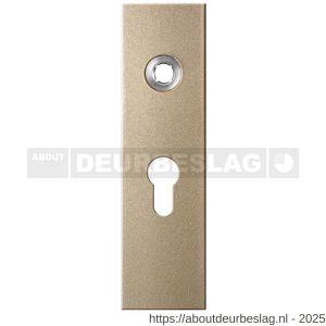 GPF Bouwbeslag Anastasius GPF1115.A4L PC55 kortschild gatdeel rechthoekig 169x46x8,5 mm PC55 linkswijzend Champagne blend - R21012546 - afbeelding 1