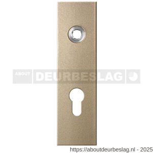 GPF Bouwbeslag Anastasius GPF1115.A4L PC72 kortschild gatdeel rechthoekig 169x46x8,5 mm PC72 linkswijzend Champagne blend - R21012547 - afbeelding 1