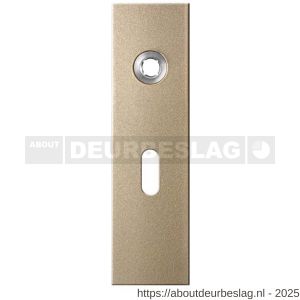 GPF Bouwbeslag Anastasius GPF1115.A4R BB56 kortschild gatdeel rechthoekig 169x46x8,5 mm BB56 rechtsdraaiend Champagne blend - R21012549 - afbeelding 1