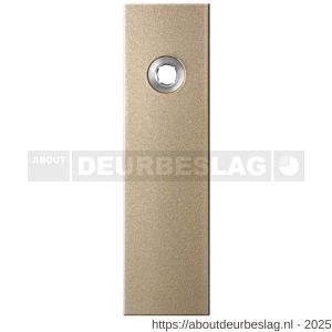 GPF Bouwbeslag Anastasius GPF1115.A4R blind kortschild gatdeel rechthoekig 169x46x8,5 mm blind rechtsdraaiend Champagne blend - R21012548 - afbeelding 1