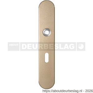 GPF Bouwbeslag Anastasius GPF1120.A4R BB56 langschild gatdeel afgerond 218x40x8,5 mm BB56 rechtsdraaiend Champagne blend - R21011201 - afbeelding 1