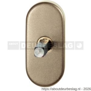 GPF Bouwbeslag Anastasius GPF1130.A4.0032 draaikiepmechanisme ovaal 65x30x12 mm met stift binnenzijde 32 mm Champagne blend - R21011430 - afbeelding 1