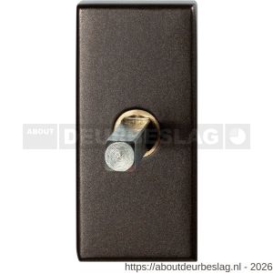 GPF Bouwbeslag Anastasius GPF1131.A1.0032 draaikiepmechanisme rechthoekig 65x30x12 mm met stift binnenzijde 32 mm Dark blend - R21011432 - afbeelding 1