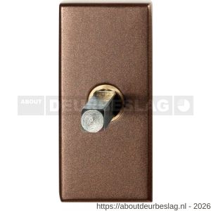 GPF Bouwbeslag Anastasius GPF1131.A2.0032 draaikiepmechanisme rechthoekig 65x30x12 mm met stift binnenzijde 32 mm Bronze blend - R21011434 - afbeelding 1