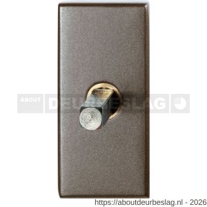 GPF Bouwbeslag Anastasius GPF1131.A3.0040 draaikiepmechanisme rechthoekig 65x30x12 mm met stift binnenzijde 40 mm Mocca blend - R21011437 - afbeelding 1
