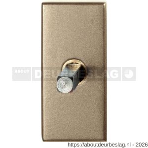 GPF Bouwbeslag Anastasius GPF1131.A4.0032 draaikiepmechanisme rechthoekig 65x30x12 mm met stift binnenzijde 32 mm Champagne blend - R21011438 - afbeelding 1