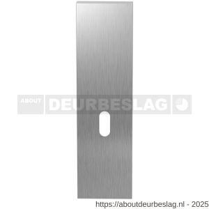 GPF Bouwbeslag RVS GPF1200.15L/R BB56 kortschild gatdeel rechthoekig 169x46x8,5 mm zonder krukgat BB56 links-rechtsdraaiend RVS geborsteld - R21005747 - afbeelding 1