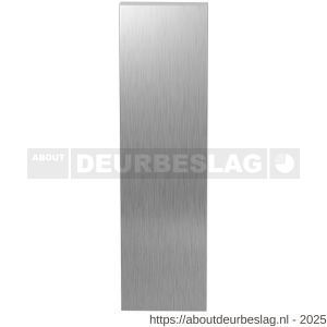 GPF Bouwbeslag RVS GPF1200.15L/R blind kortschild gatdeel rechthoekig 169x46x8,5 mm geheel blind links-rechtsdraaiend RVS geborsteld - R21005746 - afbeelding 1