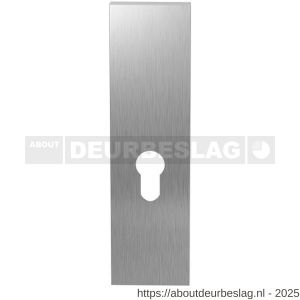 GPF Bouwbeslag RVS GPF1200.15L/R PC55 kortschild gatdeel rechthoekig 169x46x8,5 mm zonder krukgat PC55 links-rechtsdraaiend RVS geborsteld - R21005749 - afbeelding 1