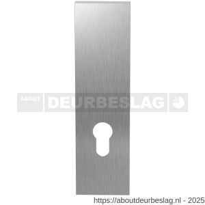 GPF Bouwbeslag RVS GPF1200.15L/R PC72 kortschild gatdeel rechthoekig 169x46x8,5 mm zonder krukgat PC72 links-rechtswijzend RVS geborsteld - R21005750 - afbeelding 1