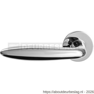 GPF Bouwbeslag RVS GPF1315.49-00L/R Pepe deurkruk gatdeel op rond rozet RVS 50x8 mm links-rechtswijzend RVS gepolijst - R21013843 - afbeelding 1