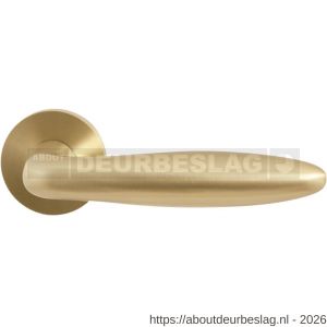 GPF Bouwbeslag Entree GPF135VRP4R Pepe deurkruk gatdeel op rozet 53x6 mm rechtswijzend PVD mat messing - R21010074 - afbeelding 1