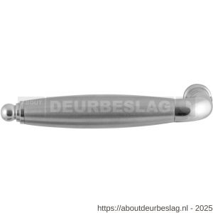 GPF Bouwbeslag RVS GPF4316L/R XL Ika XL Duo deurkruk gatdeel gebogen met ronde eindknop links-rechtswijzend RVS gepolijst-RVS geborsteld - R21002583 - afbeelding 1