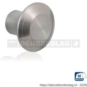 GPF Bouwbeslag RVS GPF5520.20 meubelknop rond 20 mm hoogte 16 mm RVS geborsteld - R21005373 - afbeelding 1
